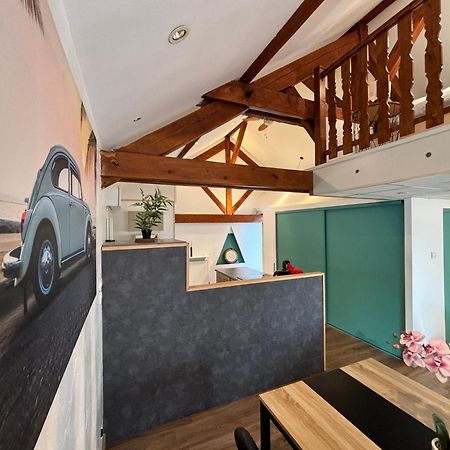 Mini-Loft, Terrasse 24M2, Internet Haut-Debit, Garage Prive Et Place De Parking Audincourt Экстерьер фото
